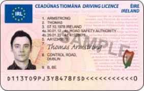 Driving licence in the Republic of ...